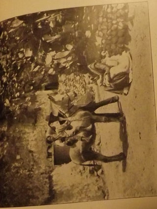 CHRONICLE OF THE CONQUEST OF GRANADA