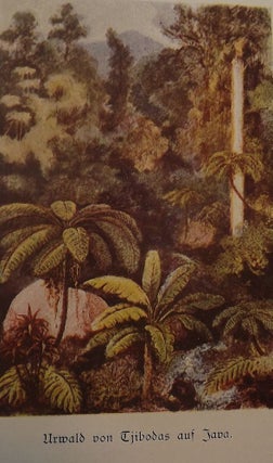 VON SONNEN UND SONNENSTAUBCHEN. KOSMISCHE WANDERUNGEN VON WILHELM