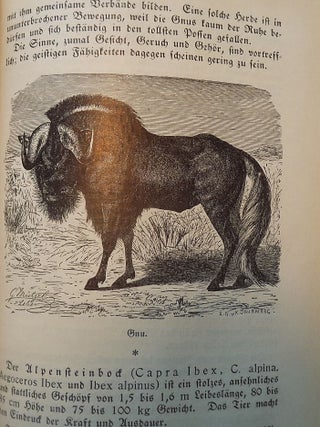 DAS LEBEN DER TIERE: DIE SAUGETIERE
