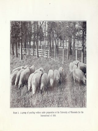SHEEP MANAGEMENT: A HANDBOOK FOR THE SHEPHERD AND STUDENT.