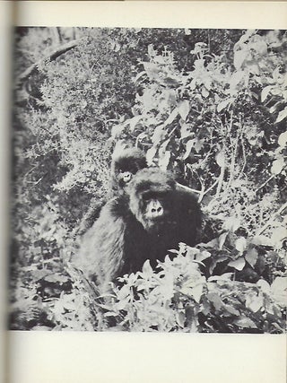 APES
