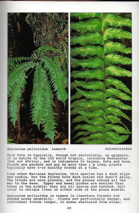 FERNS AND ORCHIDS OF THE MARIANA ISLANDS.