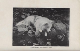 POLARIS: THE STORY OF AN ESKIMO DOG.