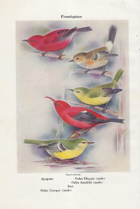 FAMILIAR HAWAIIAN BIRDS