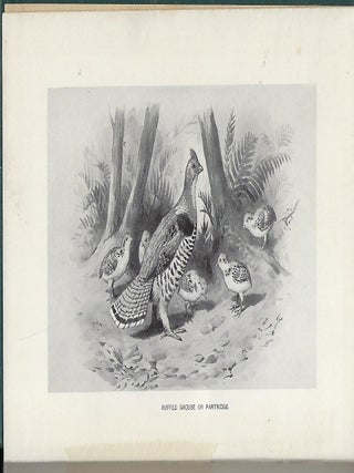 WHERE TO HUNT AMERICAN GAME