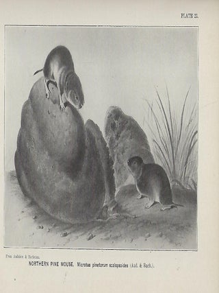 ANNUAL REPORT OF THE NEW JERSEY STATE MUSEUM: 1907.