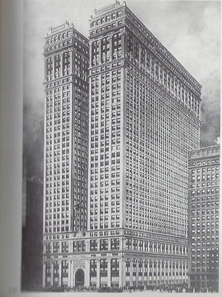 THE RISE OF AN AMERICAN ARCHITECHTURE