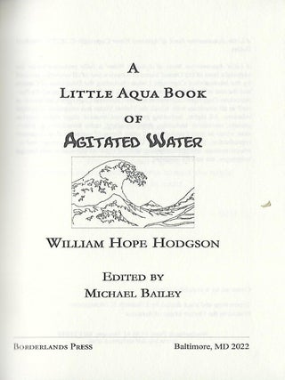 A LITTLE AQUAMARINE BOOK OF AGITATED WATER