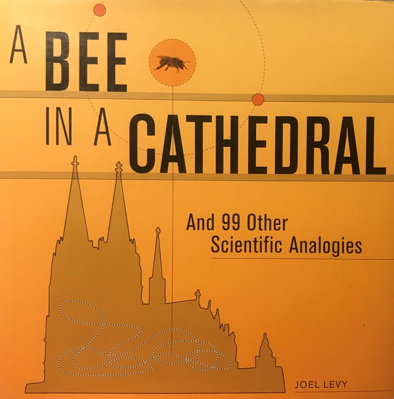 Item #58018 A BEE IN A CATHEDRAL AND 99 OTHER SCIENTIFIC ANALOGIES. Joel LEVY.