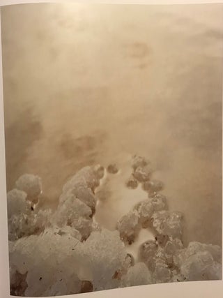FRIED WATERS