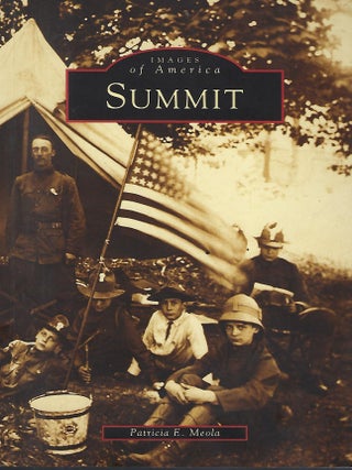 Item #58207 SUMMIT: WISH YOU WERE HERE. Patricia E. MEOLA