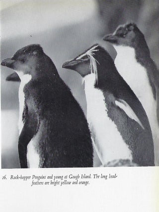 SEABIRDS IN SOUTHERN WATERS