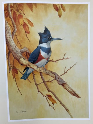 BIRDS OF THE CHESAPEAKE BAY