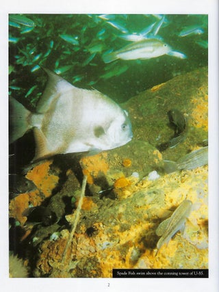 U-85: A SHADOW IN THE SEA . A DIVER'S REFLECTIONS.