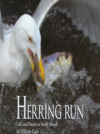 Item #58410 HERRING RUN: LIFE AND DEATH AT STONY BROOK. Elliott CARR