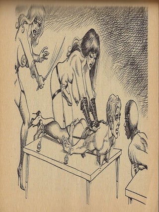 THE HONEYM0ON SLAVES: ADULT READING