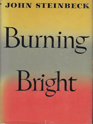 BURNING BRIGHT: A PLAY IN STORY FORM